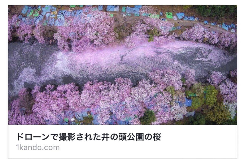 ドローンで撮る井の頭公園の桜